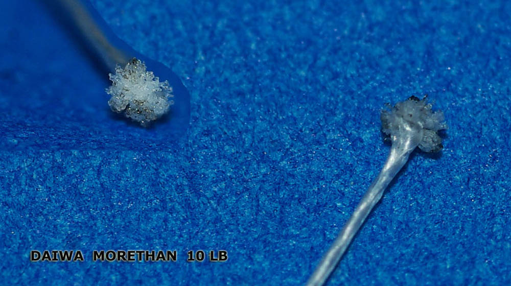 Плетеная леска Daiwa Morethan. Макросъемка.