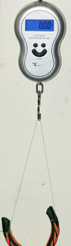 Тест с весами.