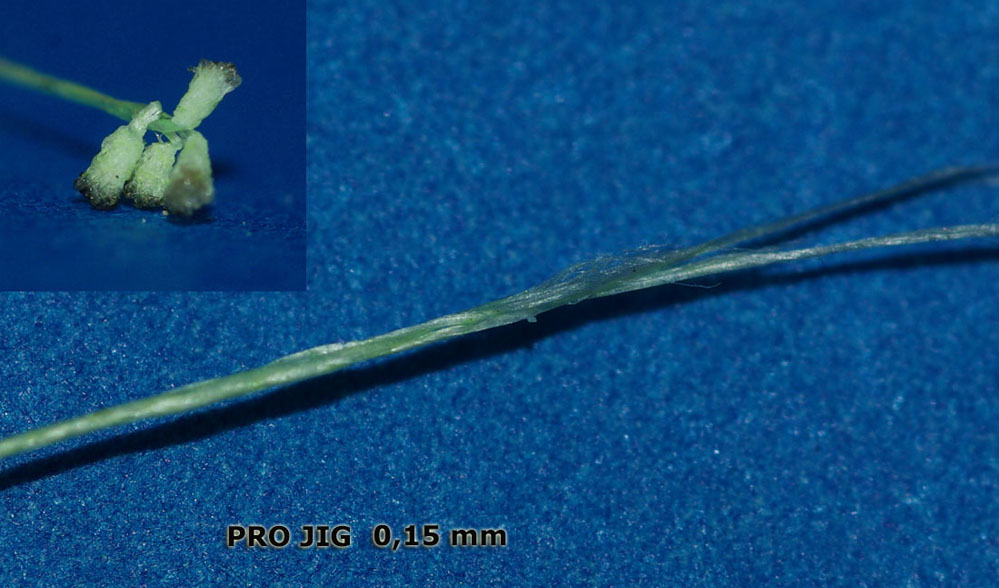 Плетеная леска Pro Jig. Макросъемка.